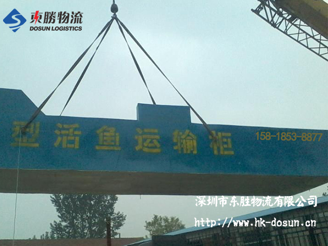 物流活體魚要注意哪些事項(xiàng)？該怎么運(yùn)輸？深圳到香港物流,香港深圳貨運(yùn)運(yùn)輸,深圳香港進(jìn)出口,深港物流專線,中港物流,東勝物流集團(tuán)-大件物流到香港